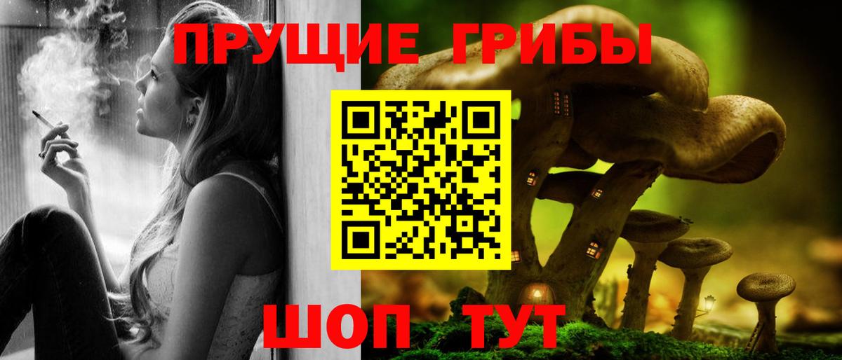 Галлюциногенные грибы Psilocybine cubensis Щёкино
