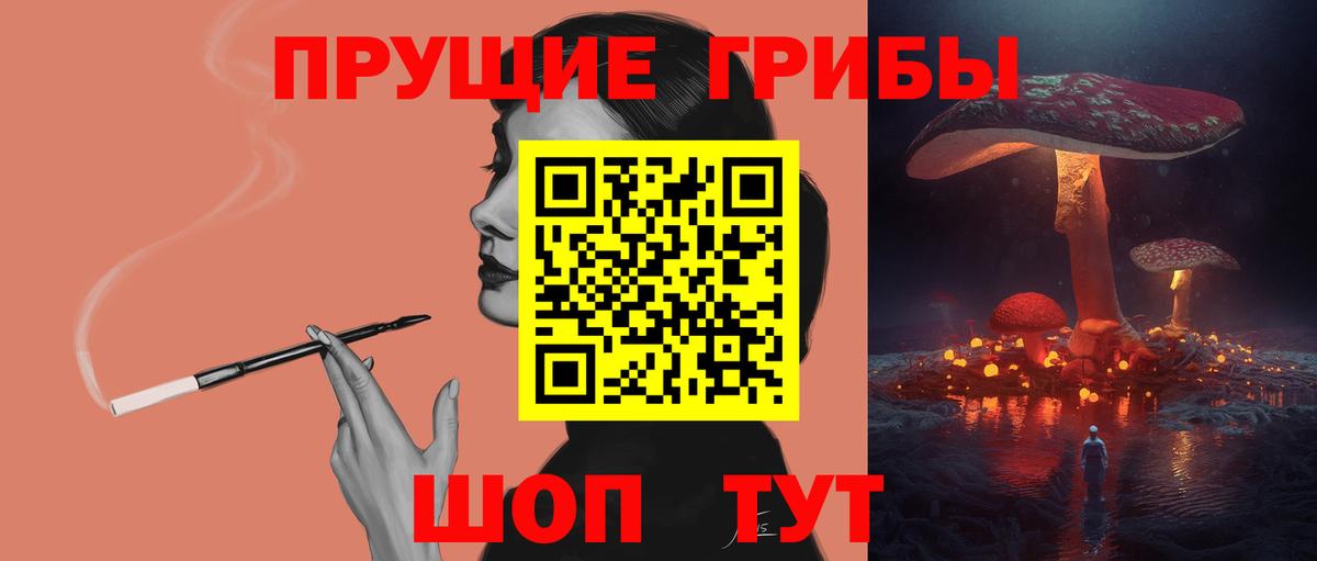 Щёкино  Галлюциногенные грибы Psilocybine cubensis  Вход с VPN 
